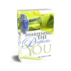 The Prophetic In You (workbook)
